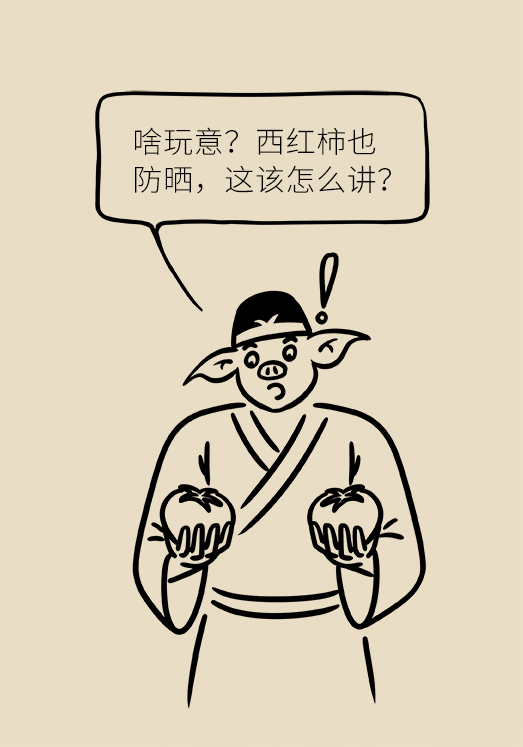 微信圖片_20190813091836.png